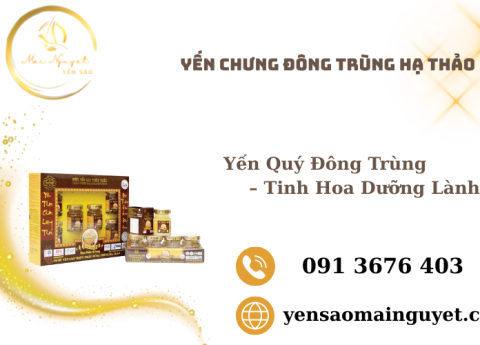 Yến Chưng Đông Trùng Hạ Thảo Biếu Tặng Biên Hòa