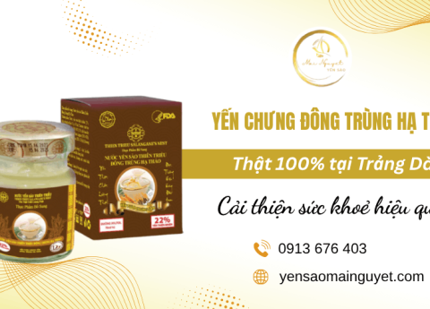 Yến chưng đông trùng hạ thảo Trảng Dài cải thiện sức khoẻ và thể trạng