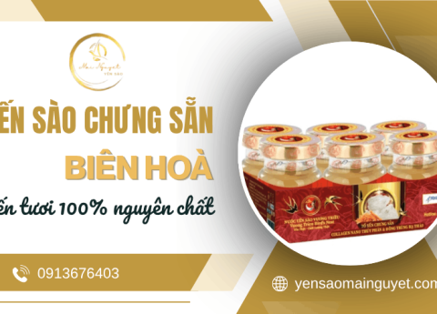 Yến sào chưng sẵn Biên Hoà nguyên chất - Yến tươi 100%